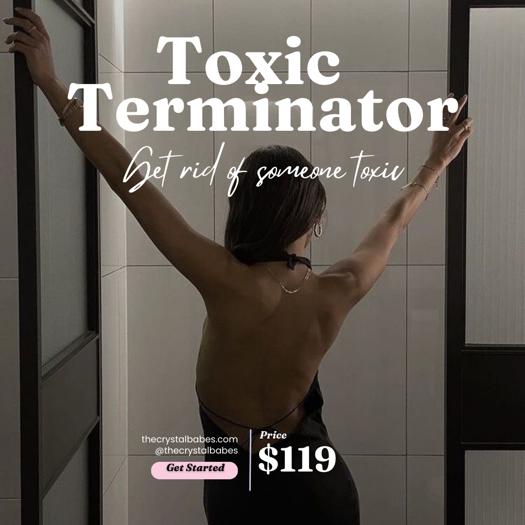 The Toxic Terminator ⚔️